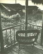 view from an Isle Royale cottage, photographed by Peter Oikarinen