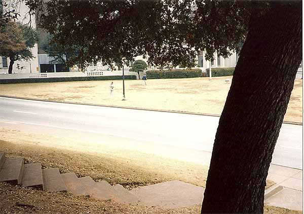 Looking over Elm Street from fence bordering grassy knoll