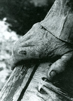 hand of a Lake Superior fisherman, photographed by Peter Oikarinen